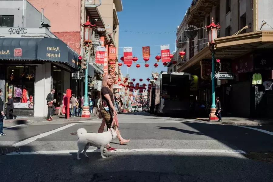 “那十字架和她的狗在唐人街散步.